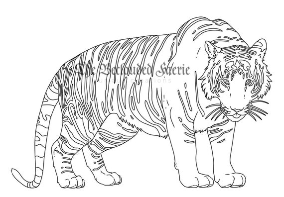 Tiger coloring page