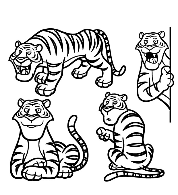 Tiger coloring pages a large collection print or download for free