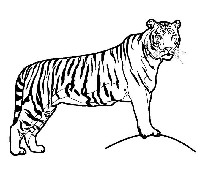 Animal colouring pages free download print trang tã mã u sãch tã mã u hãnh áºnh