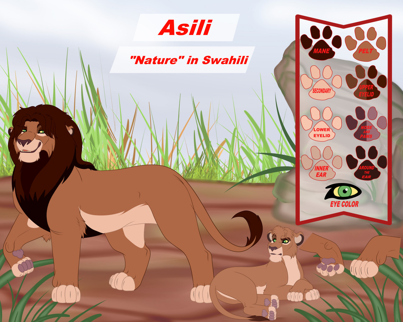 Asili reference sheet