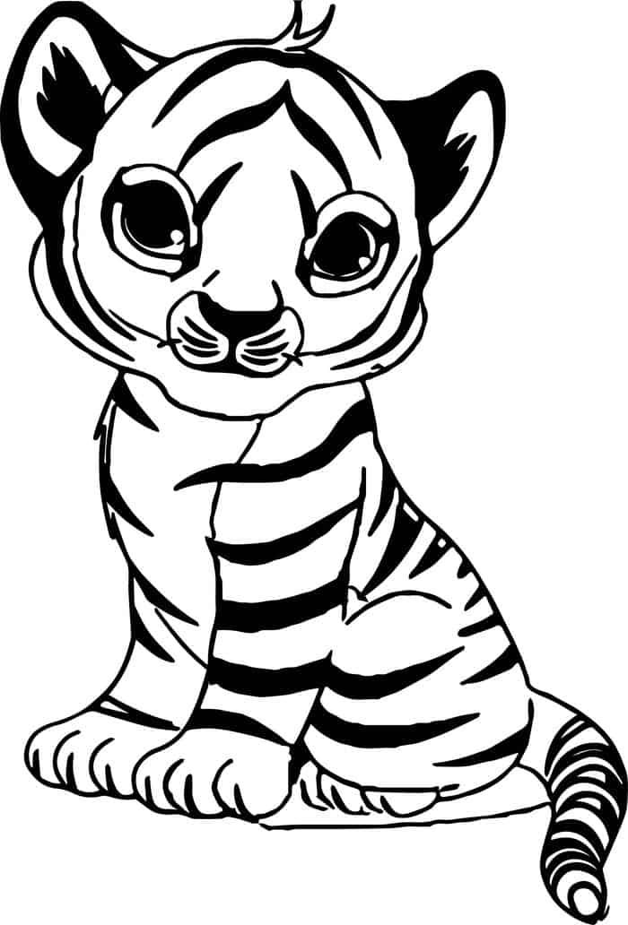 Baby tiger coloring pages zoo animal coloring pages zoo coloring pages animal coloring pages