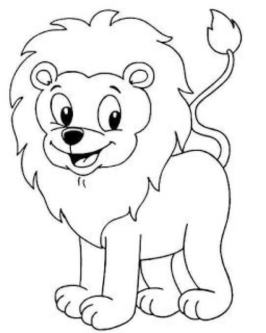 Riscos graciosos cute drawgs riscos de felos gatos leãµes tigres kittens lions and tigers drâ zoo animal colorg pages animal colorg pages drawgs