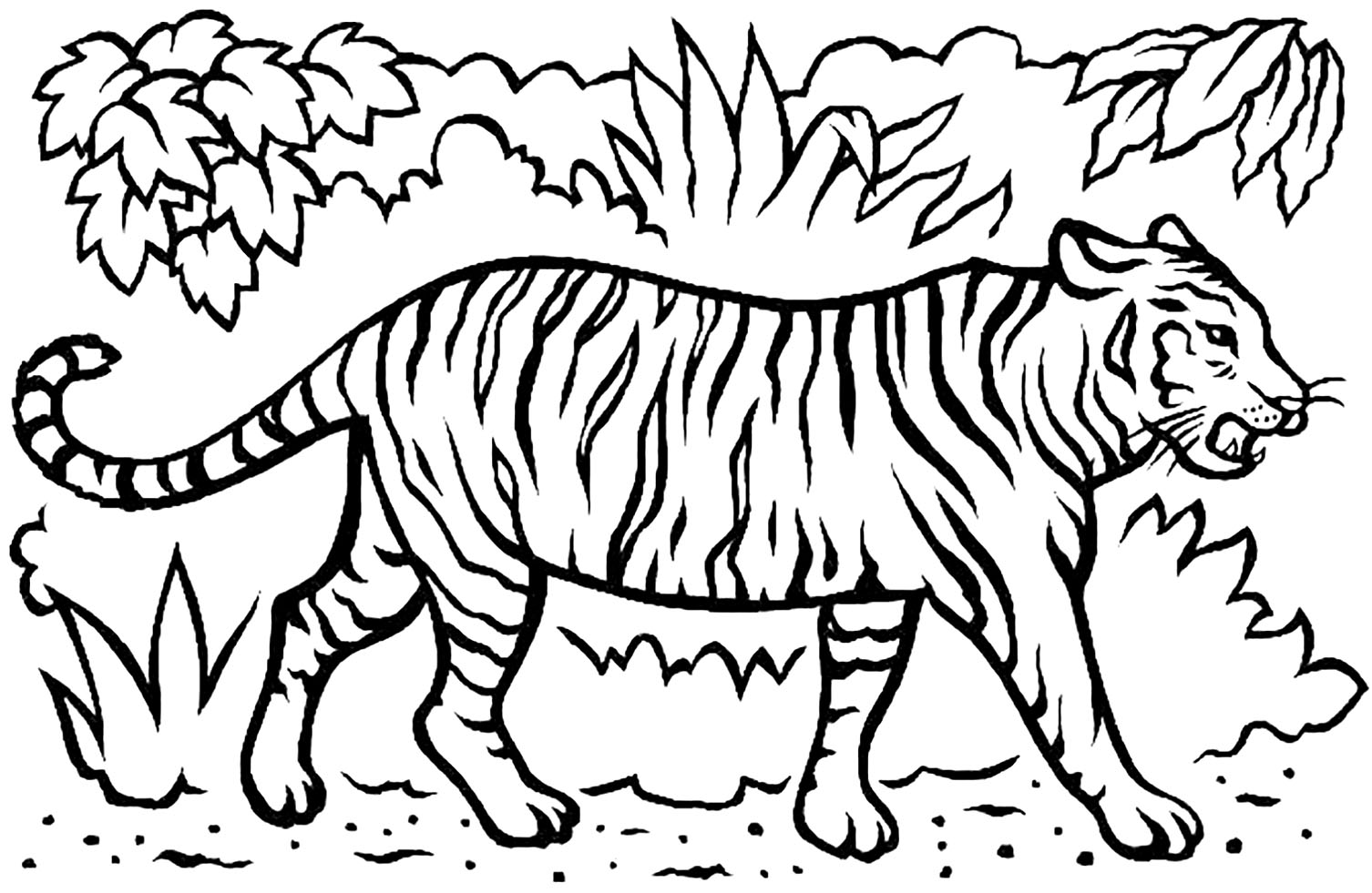 Dibujos para colorear de tigres para niãos