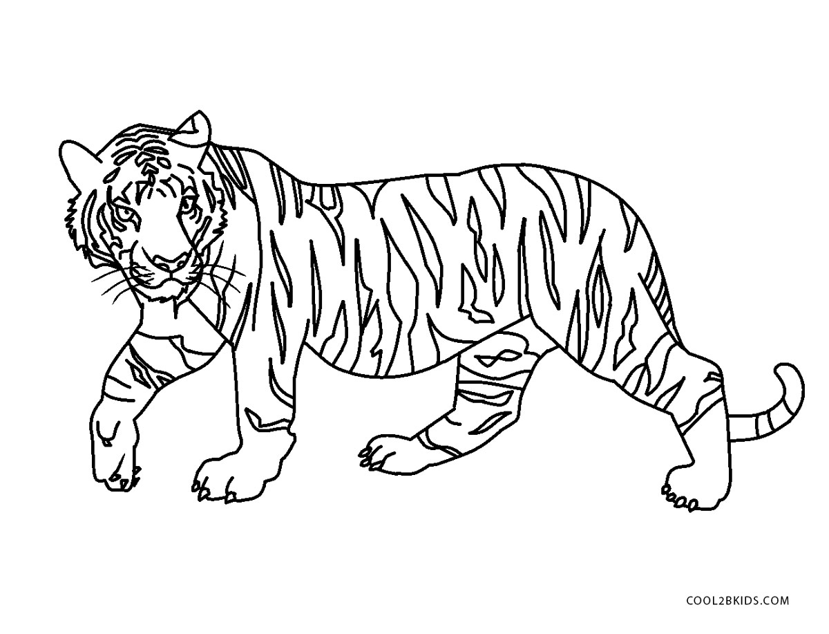 Dibujos de tigre para colorear