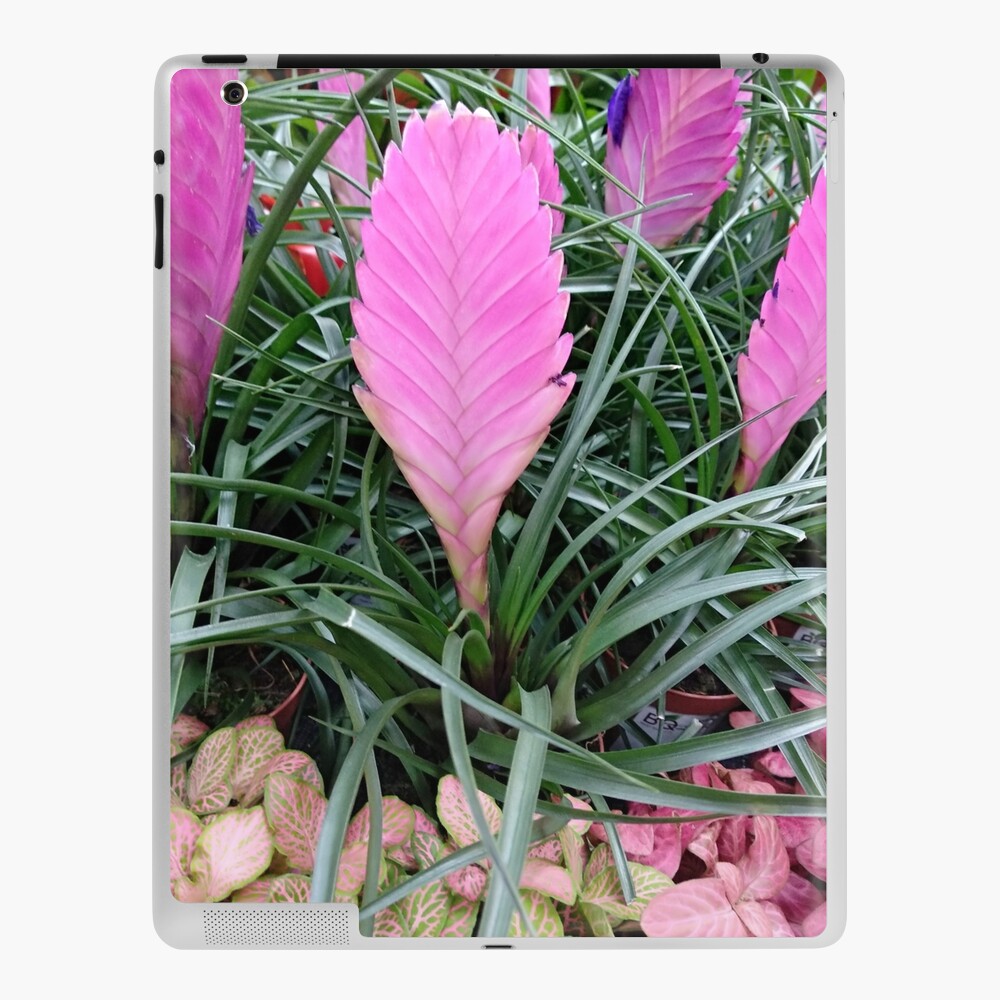 Tillandsia cyanea bromeliads pink flower spiral notebook for sale by designer