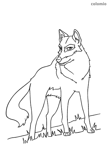 Wolves coloring pages free printable wolf coloring sheets