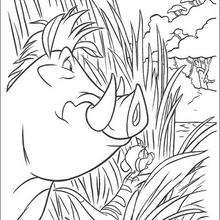 Timon and pumbaa scouting coloring pages