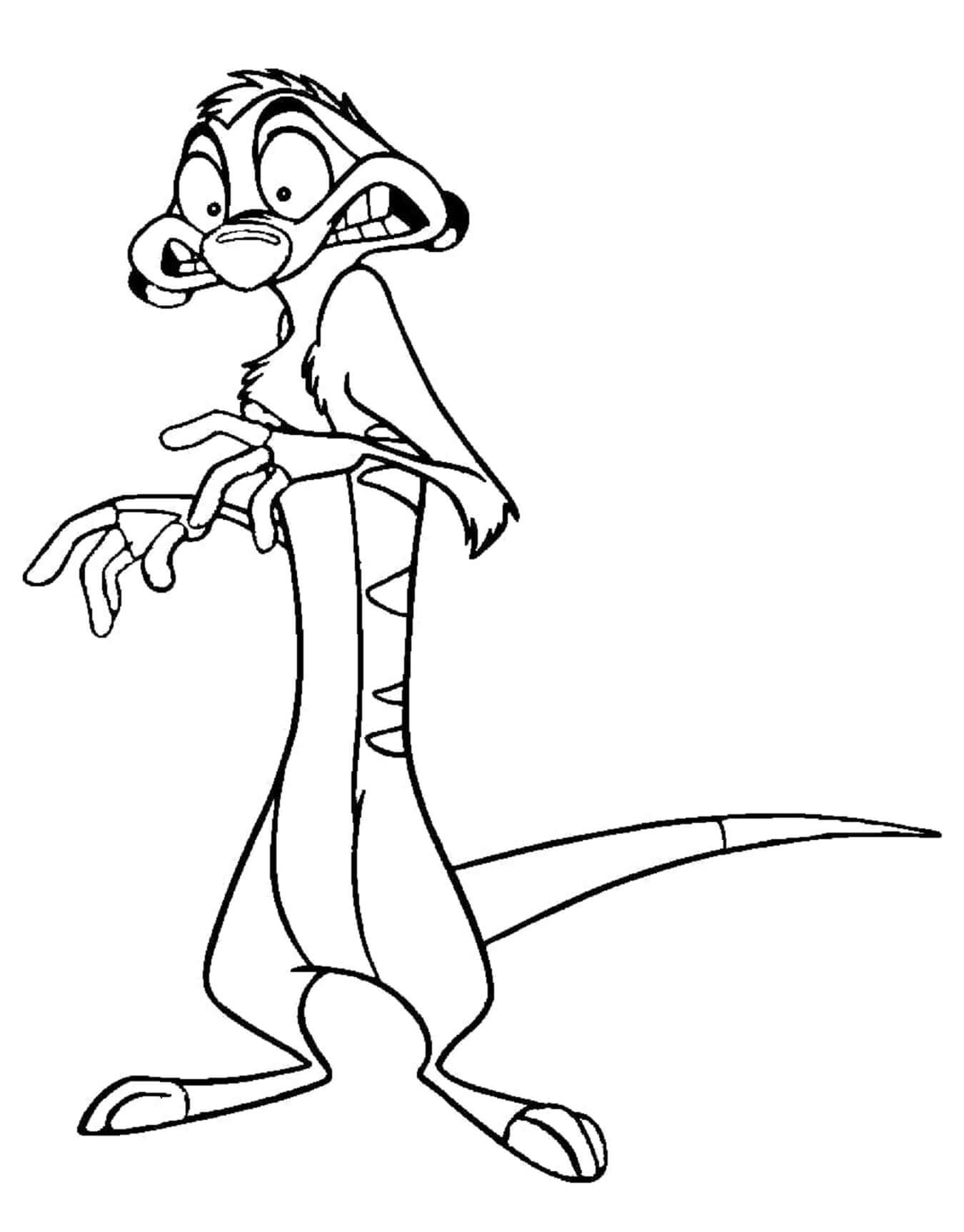 Cute funny timon coloring page