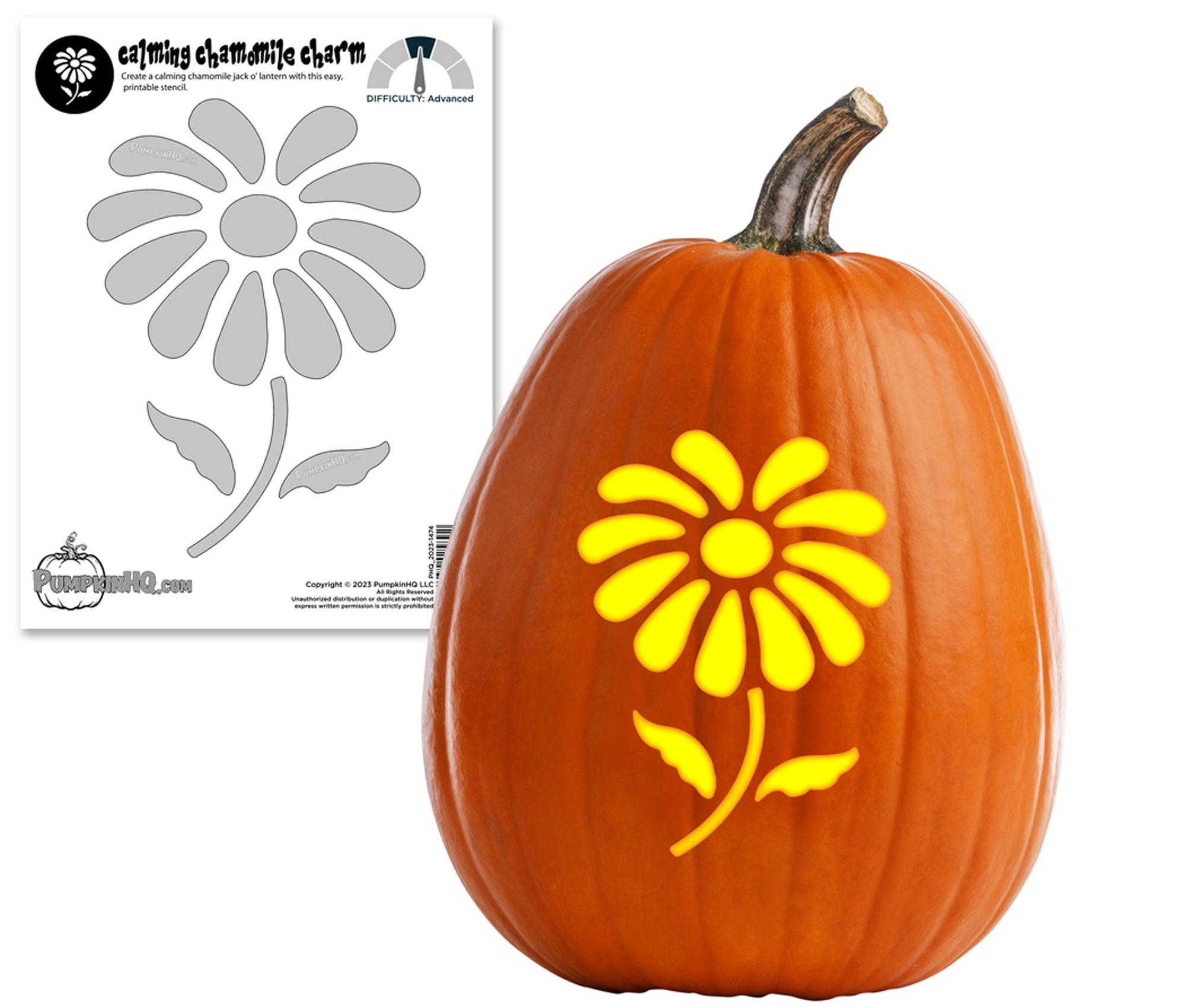 Daisy flower pumpkin carving stencil