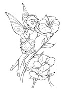 Tinkerbell coloring pages free coloring pages