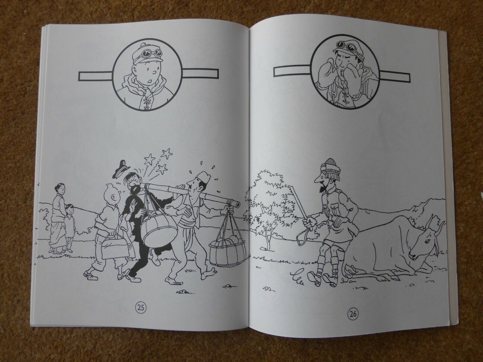 Tintin louring book