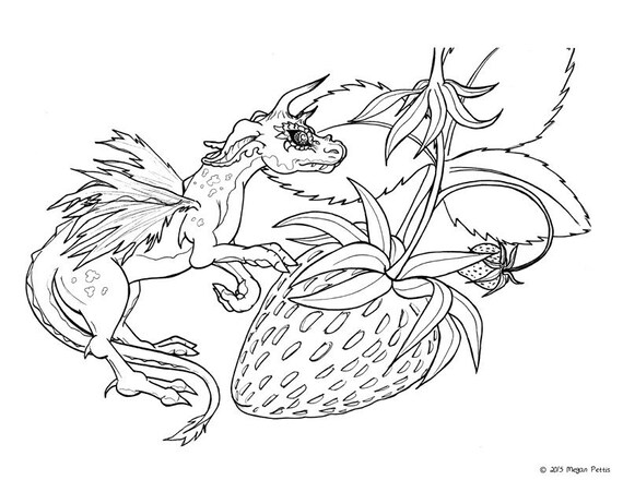 Strawberries and scales tiny dragon adult coloring page instant download digital file print at home fantasy coloring book page