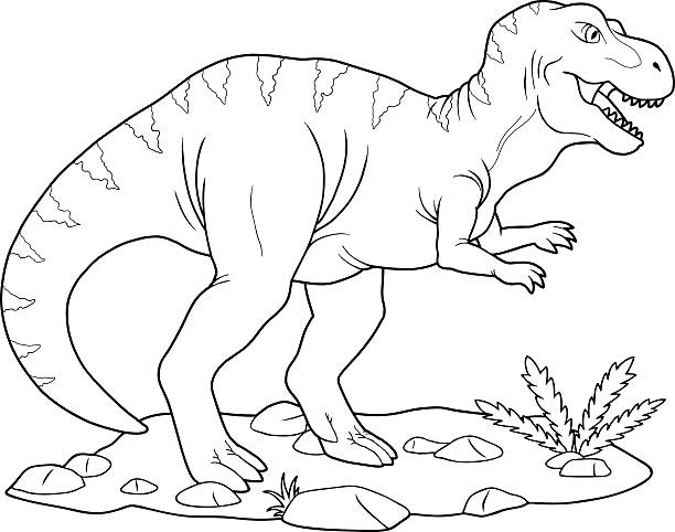 T rex coloring pages stock illustrations royalty