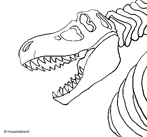 Tyrannosaurus rex skeleton coloring page