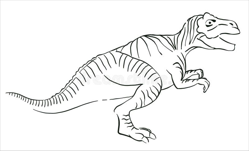 Tyrannosrus rex dinosr coloring page vector illustration desenho dinossro rex