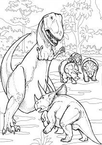 Adult coloring pages