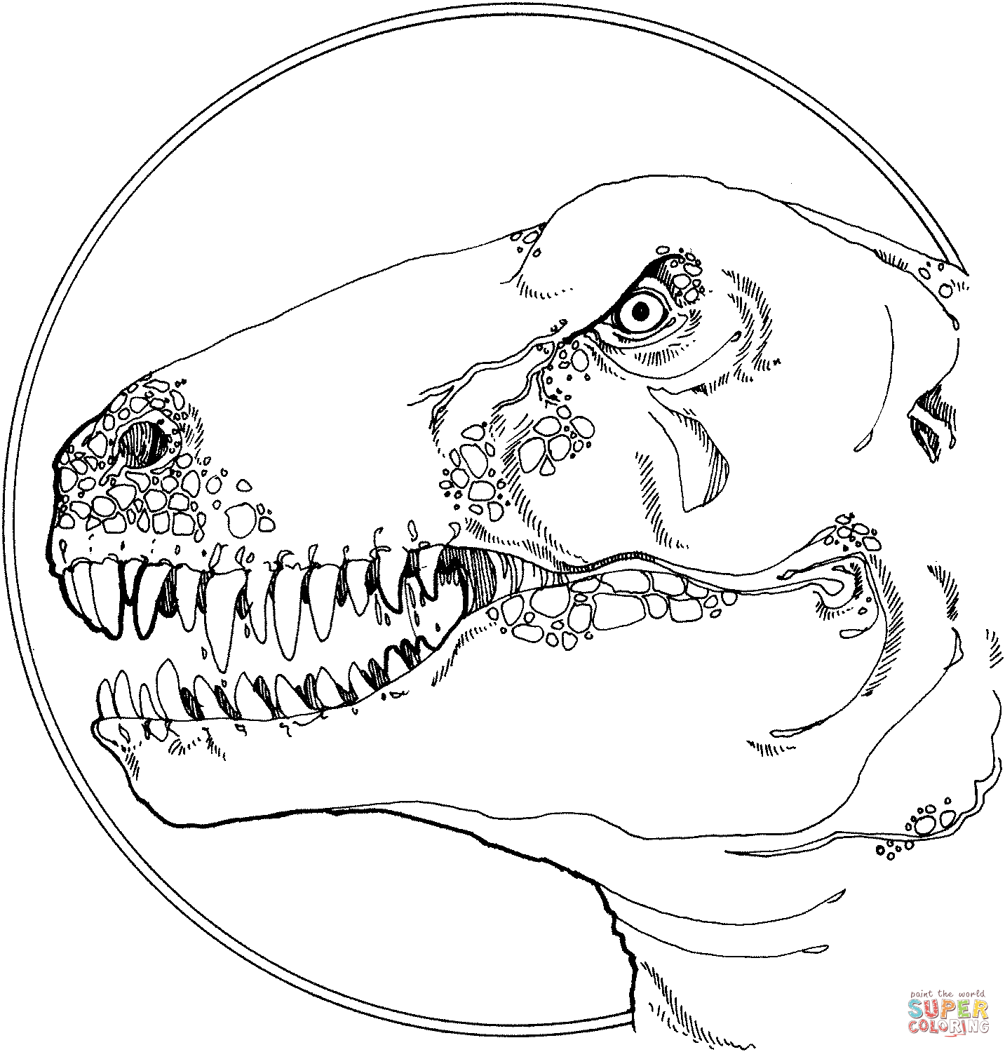 Tyrannosaurus head coloring page free printable coloring pages
