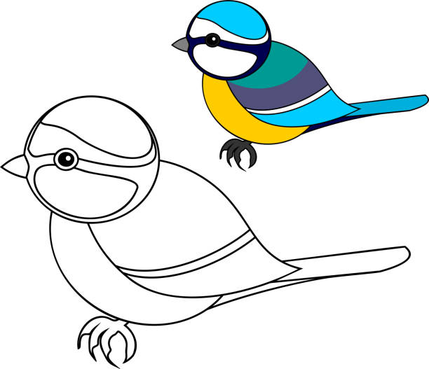 Cartoon of a blue tit bird stock illustrations royalty