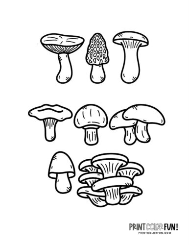 Mushroom coloring pages crafts fun fungus facts to share with your kids at