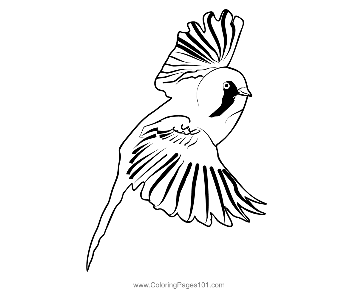 Bearded tit coloring page for kids
