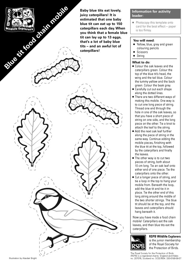 Free rspb big garden birdwatch mobile