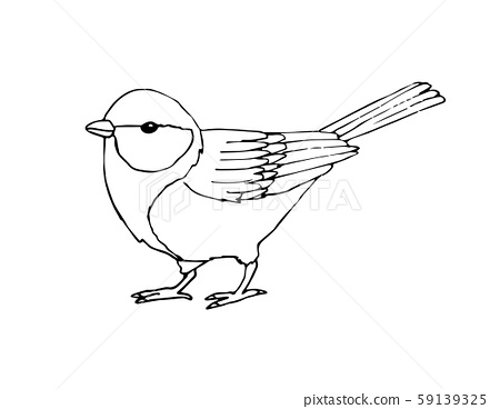 Vector hand drawn sketch black tit bird