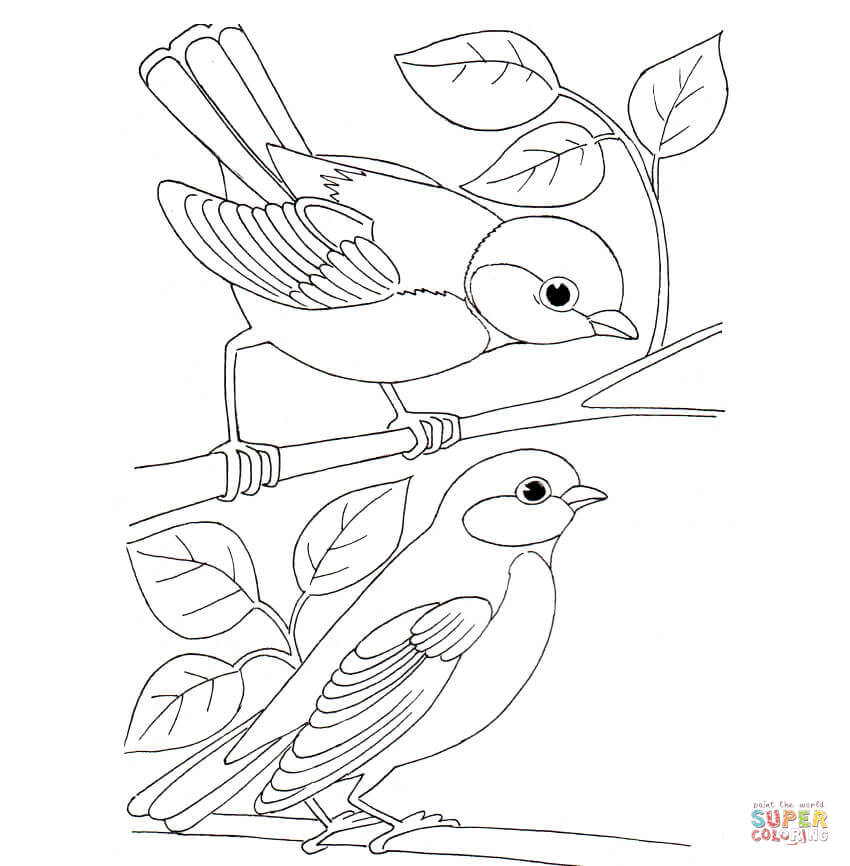 Tit birds coloring page free printable coloring pages