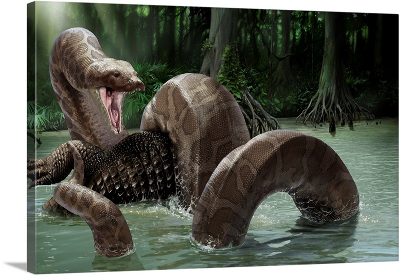 Titanoboa artwork wall art canvas prints framed prints wall peels great big canvas