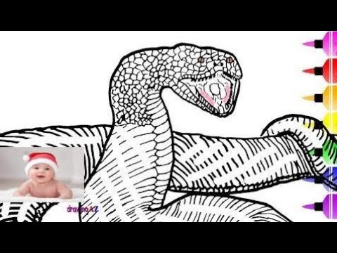 Titanoboa monster snake drawing and coloring page for kid