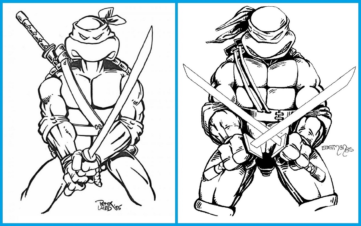 Teenage mutant ninja turtles leonardo