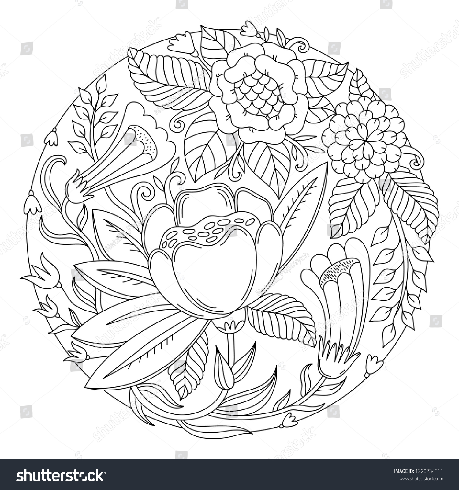 Vector floral circle design adult coloring stock vector royalty free