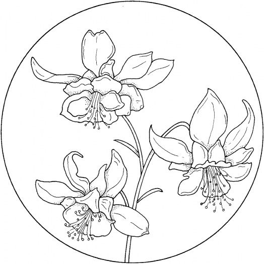 Circle with flower coloring page super coloring flower coloring pages flower drawing painting patterns