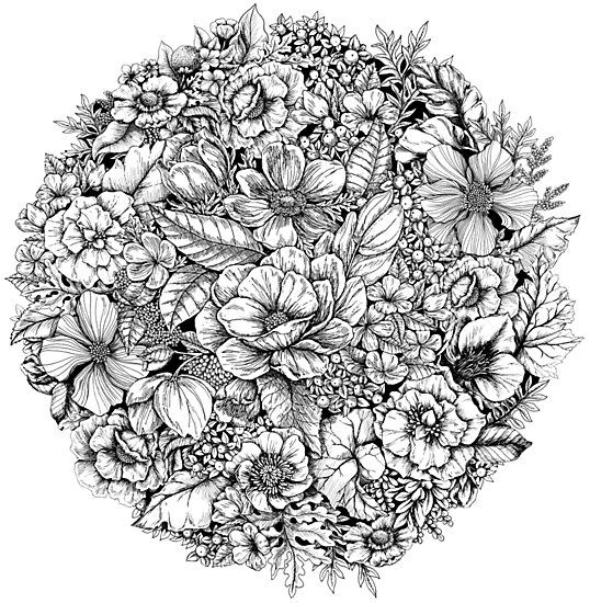 Floral flower circle photographic print for sale by linn warme flower drawing flower collage floral drawing