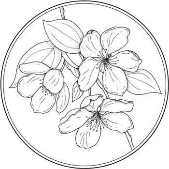 Circle with flower coloring page free printable coloring pages