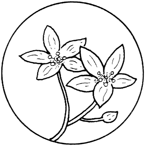 Circle with flower coloring page free printable coloring pages