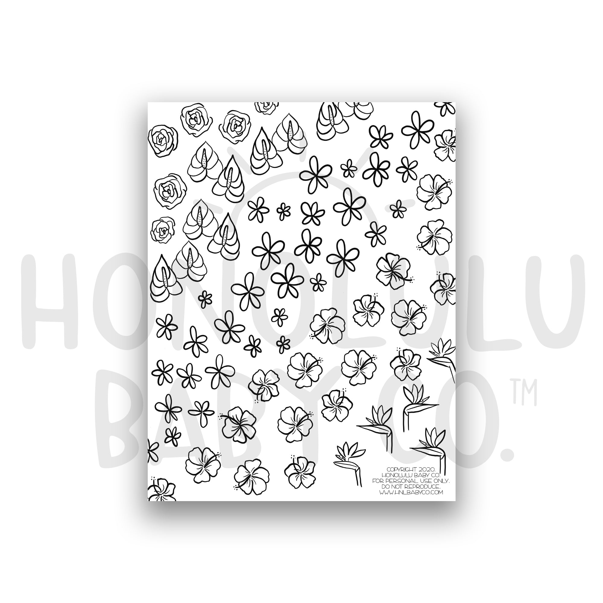 Flower coloring sheet â honolulu baby pany