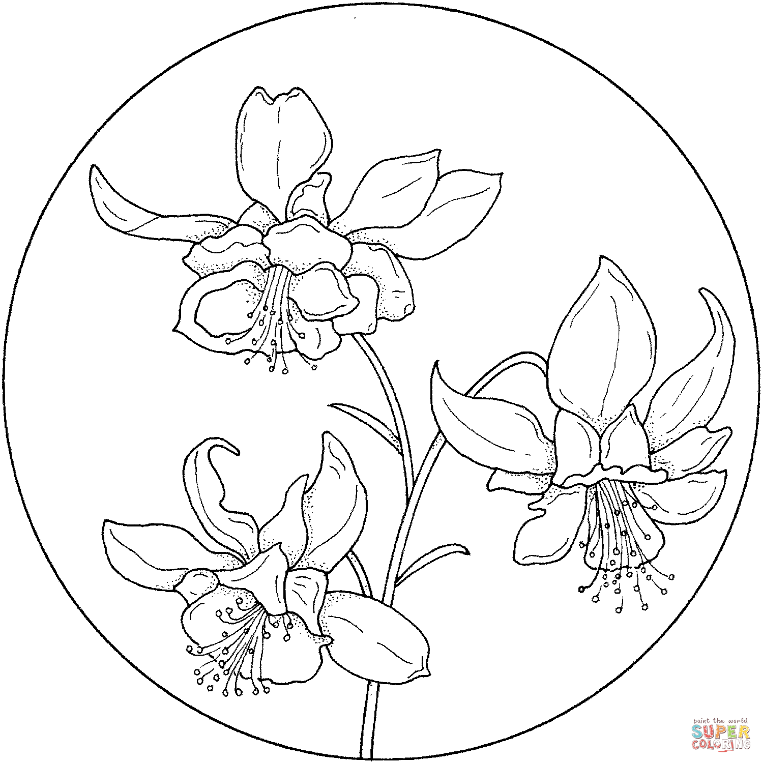 Circle with flower coloring page free printable coloring pages