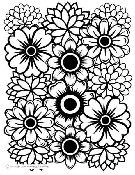 Free printable coloring pages for adults in florals and succulents