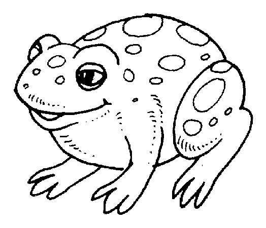 Fire belly toad coloring page