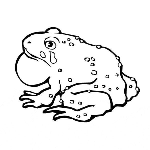 Toad coloring page