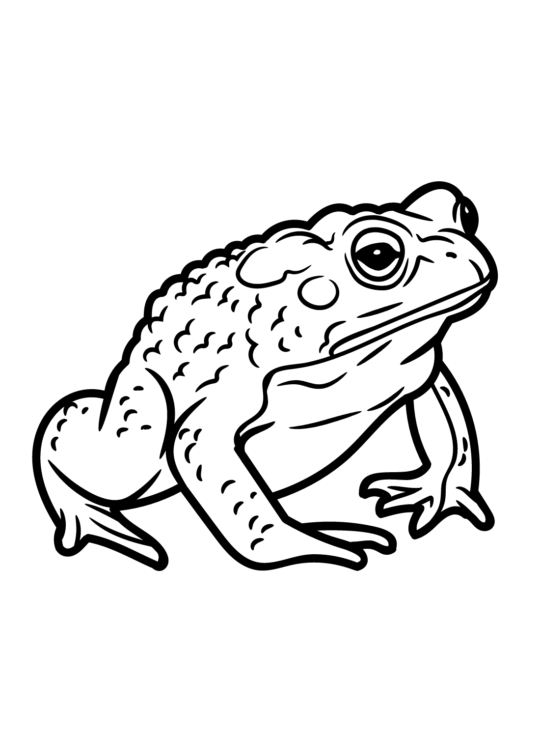 Toad coloring pages printable for free download