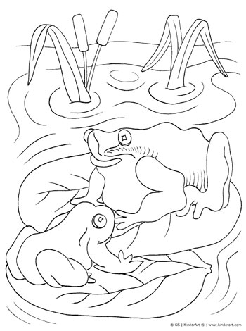 Toad coloring page â