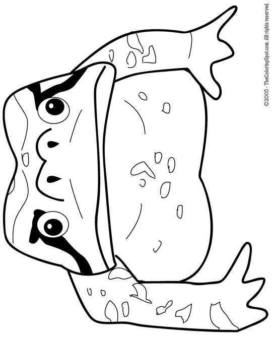 Toad coloring page audio stories for kids free coloring pages colouring printables