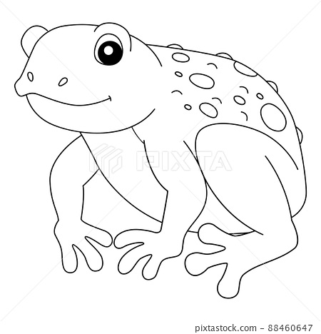 Cane toad frog animal coloring page isolated