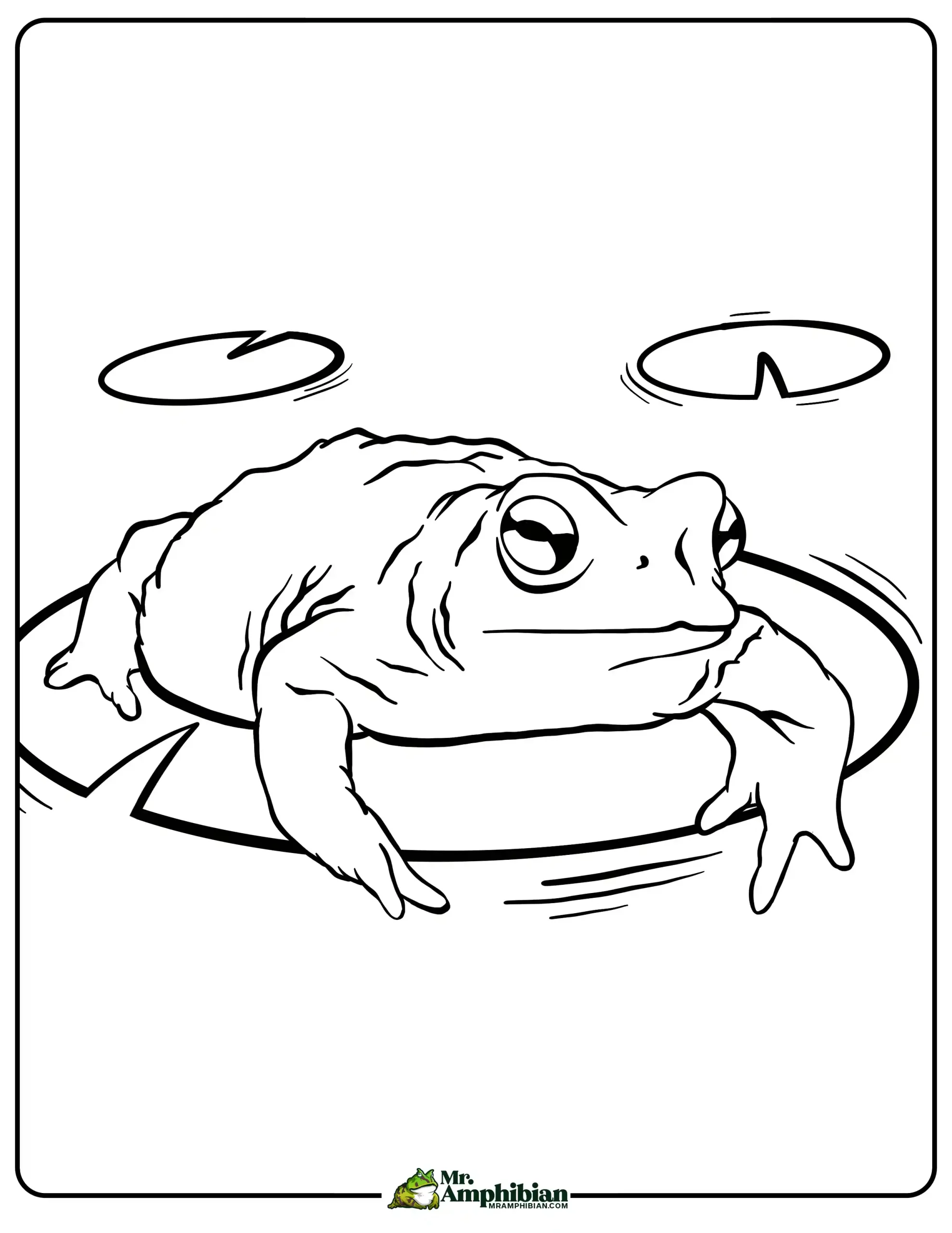 Frog coloring pages printable