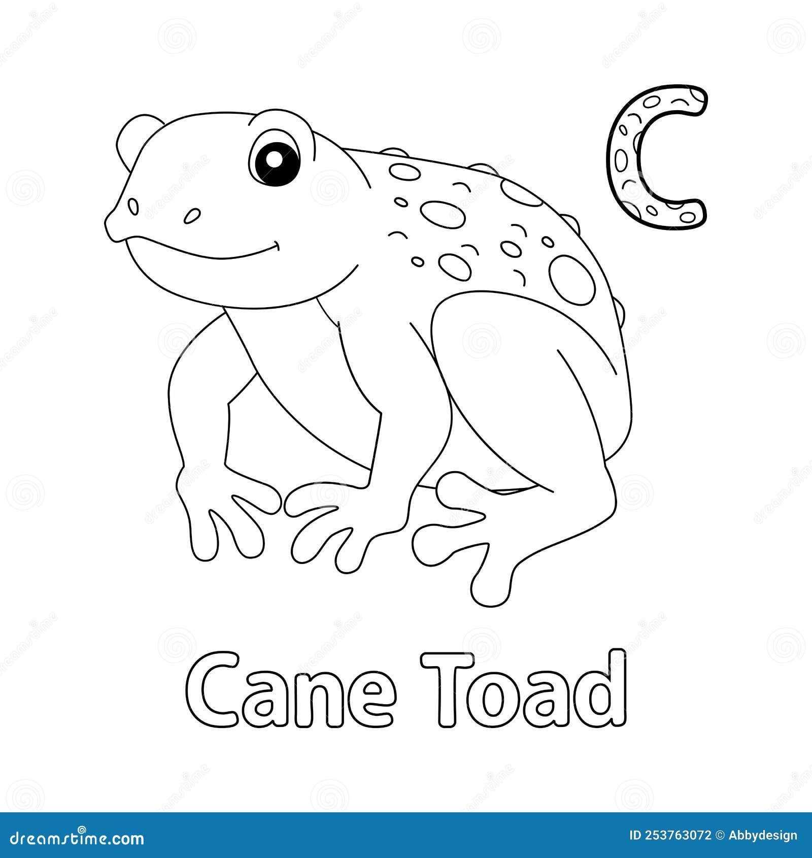 Cane toad alphabet abc coloring page c stock vector