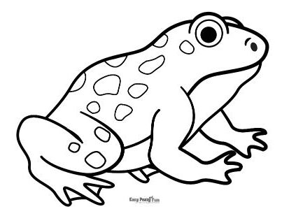 Frog coloring pages â printable coloring pages