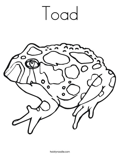 Toad coloring page