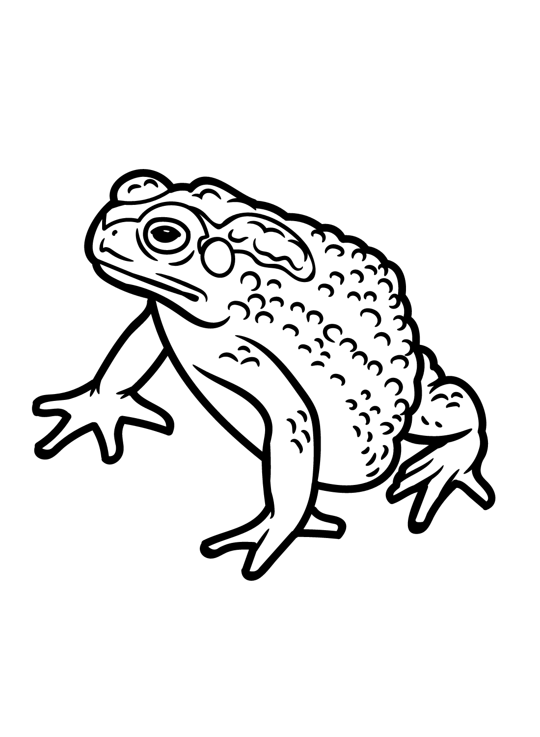 Toad coloring pages printable for free download