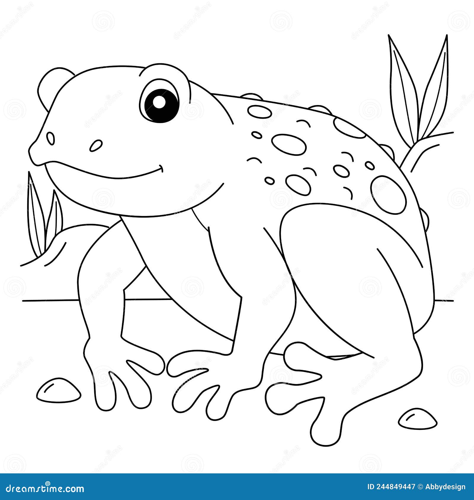 Cane toad frog animal coloring page for kids stock vector